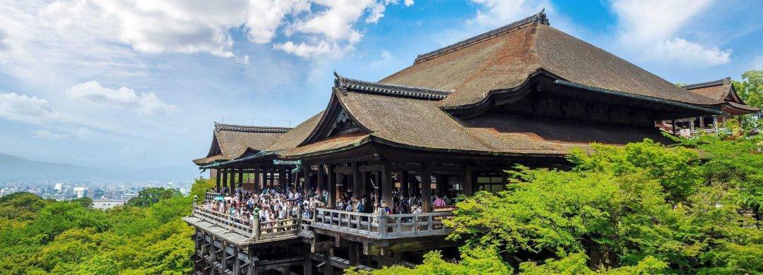 原创日本开放旅游签入境一周后观光业正在回暖只是少了中国游客